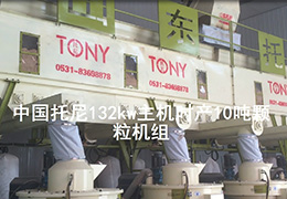 帶水印6臺(tái)132kw顆粒機(jī)壓制顆粒視頻